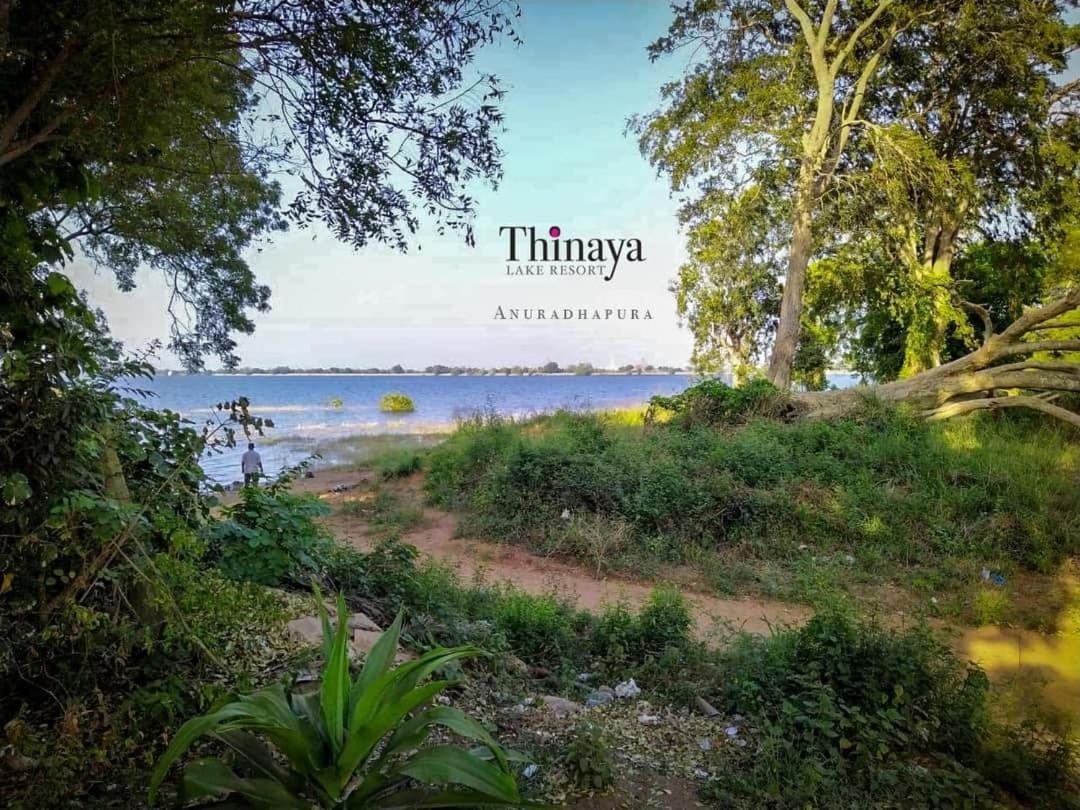 Thinaya Lake Resort أنرادابورام المظهر الخارجي الصورة
